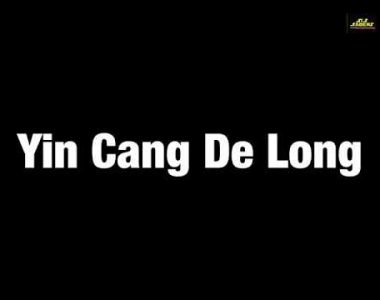 Thumbnail for yin cang delong